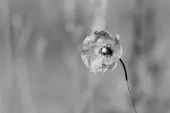 spotkanie-2017-01-27-19