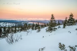 2017-03-31 piątkowe spotkania