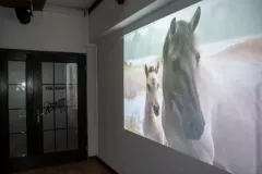 spotkanie-217-04-21-7