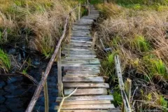 spotkanie-2017-11-24-11