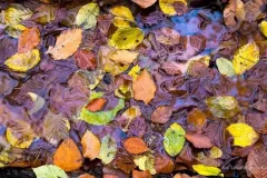 spotkanie-2017-11-24-13