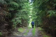 2017-wrzesien-gory-suche-20