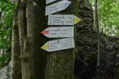 2017-wrzesien-gory-suche-22