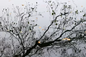 2018-11-30 piątkowe spotkania