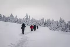 2018-luty-na-sniezniku-65