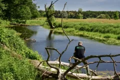 2018-maj-rogalinskie-deby-25