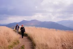 2019-wrzesien-bieszczadzki-plener-krajobrazowy-16