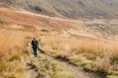 2019-wrzesien-bieszczadzki-plener-krajobrazowy-3