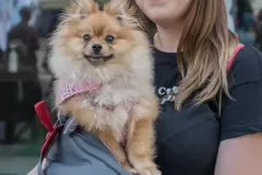 Artur January Gintowt