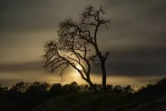 bogdan-baranowski-11