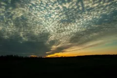 grzegorz-baworowski-5