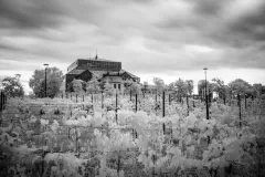 Grzegorz-Hrakalo-Horawski