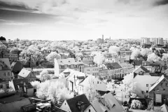 Grzegorz-Hrakalo-Horawski