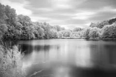 Grzegorz-Hrakalo-Horawski