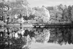 Grzegorz-Hrakalo-Horawski