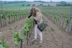 05_ingrid_zabawska_bs_4-1