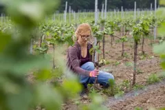 Warzocha-Ingrid-05-19