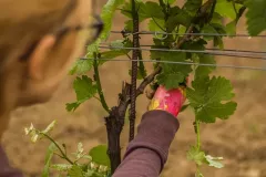 Warzocha-Ingrid-05-6