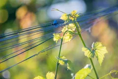 fot.-Marzena-Dempska-Julia-1