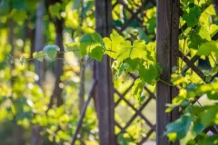 fot.-Marzena-Dempska-Julia-2