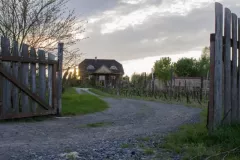 04_milosz_michalkiewicz-13