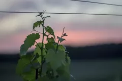 05_milosz-michalkiewicz-1280