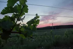 05_milosz-michalkiewicz-1298