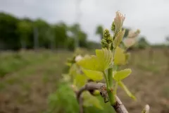 05_milosz_michalkiewicz-41