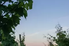 06_milosz_zabawska_1