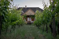 06_milosz_zabawska_3