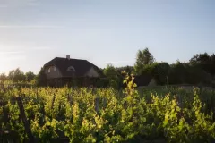 06_milosz_zabawska_7