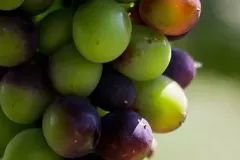 07_milosz_michalkiewicz-0594