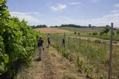 07_milosz_michalkiewicz-0622