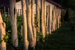 WINNICA-MOZOW-KRZYSZTOF-7