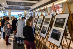 III-doroczna-wystawa-ZTF-10