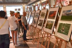 III-doroczna-wystawa-ZTF-17