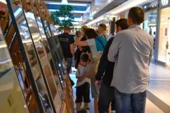 III-doroczna-wystawa-ZTF-24