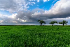 Krzysztof Modrzejewski