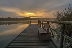 Wojciech Zieleniewski