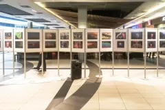 IV-doroczna-wystawa-ZTF-104