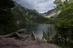 IV-doroczna-wystawa-ZTF-111