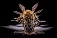 IV-doroczna-wystawa-ZTF-14