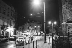 IV-doroczna-wystawa-ZTF-16