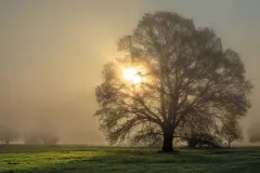 IV-doroczna-wystawa-ZTF-28