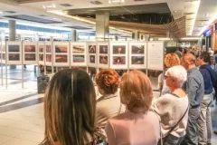 IV-doroczna-wystawa-ZTF-29