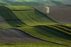 IV-doroczna-wystawa-ZTF-34