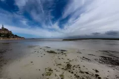 IV-doroczna-wystawa-ZTF-36