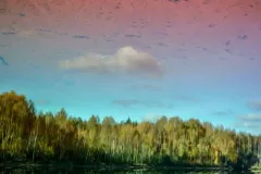 IV-doroczna-wystawa-ZTF-38