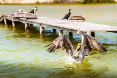 IV-doroczna-wystawa-ZTF-39