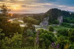 IV-doroczna-wystawa-ZTF-45